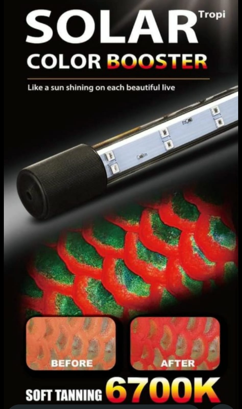 Solar Tanning Light